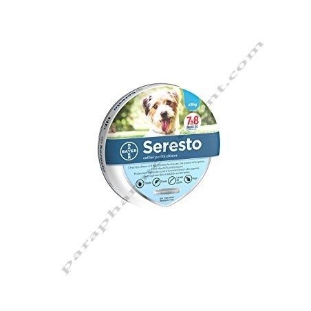 Seresto Collier Petit Chien -8KG - Bayer